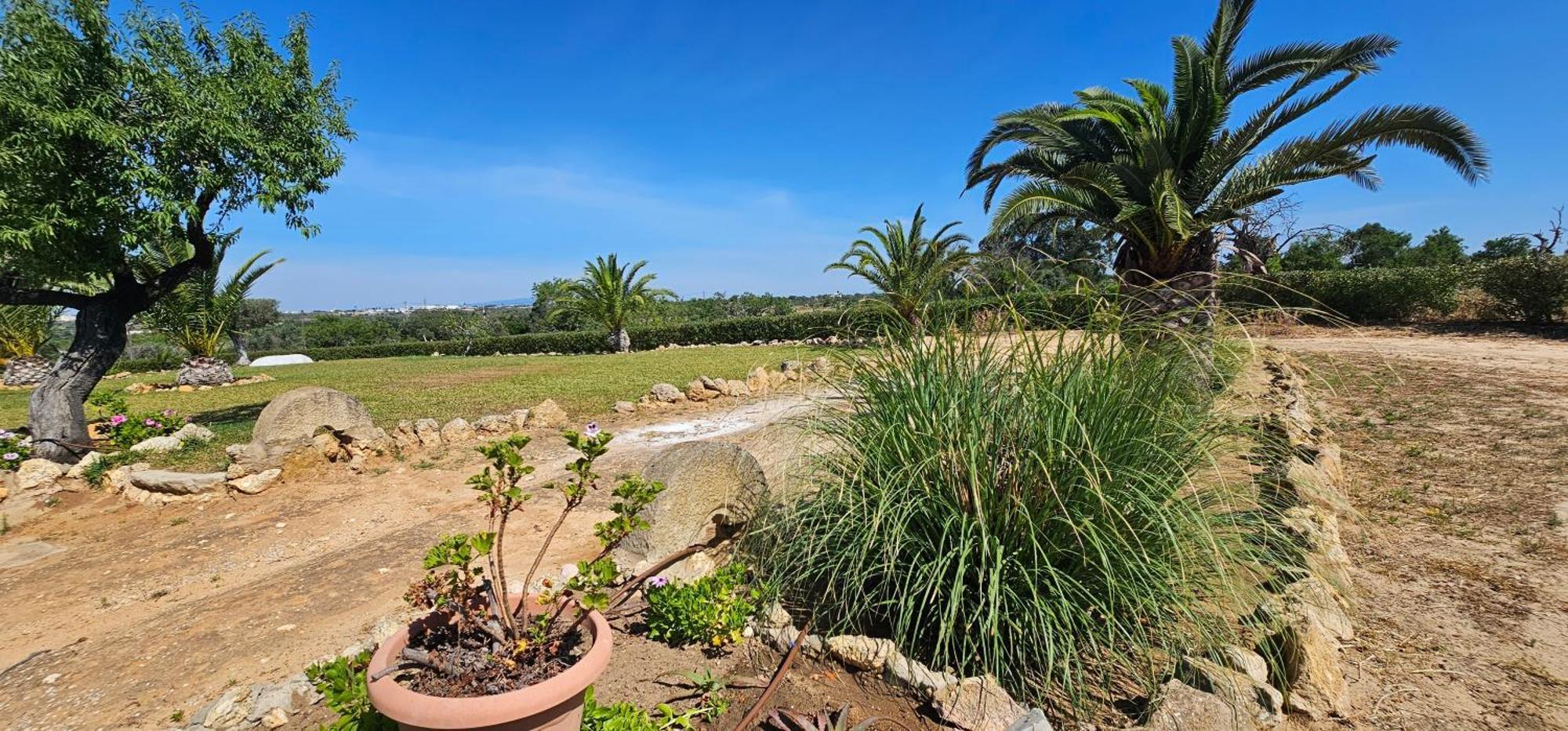 Quinta Do Lagar Villa Albufeira Exterior photo