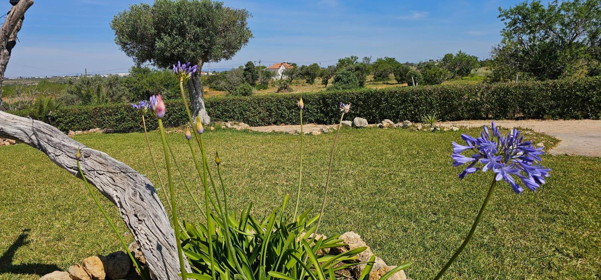 Quinta Do Lagar Villa Albufeira Exterior photo